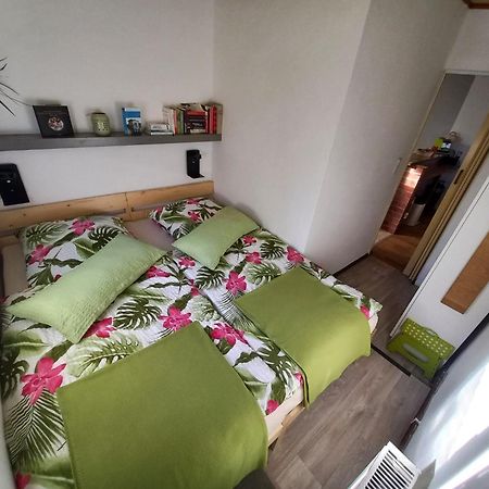 Ferienhaus Hilde Appartement Sangerhausen Buitenkant foto